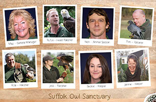 Suffolk Owl Sanctuary Stonham Aspal
