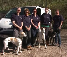 Greyhound Rescue West of England, Somerset