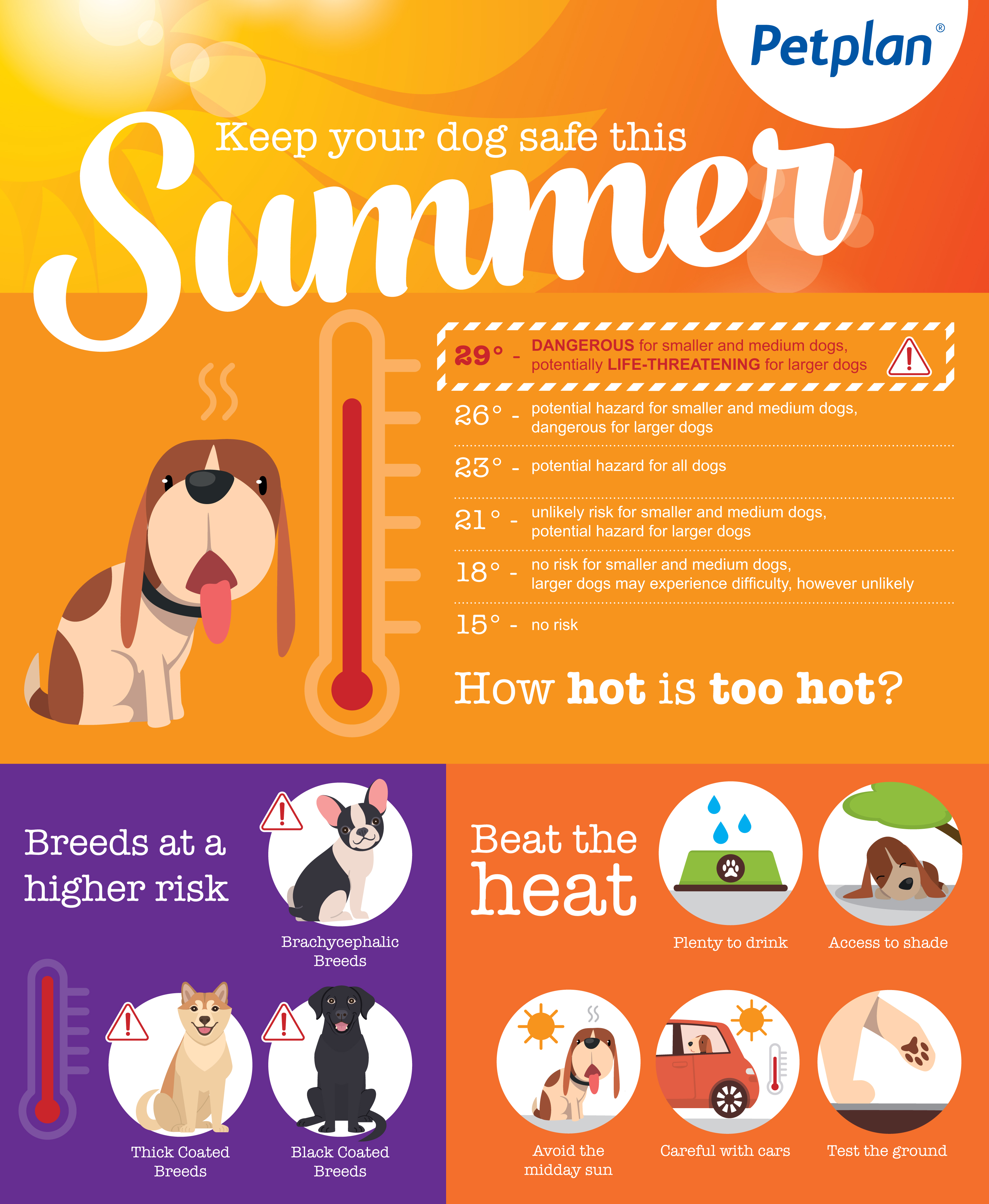 Dogs in sales summer heat