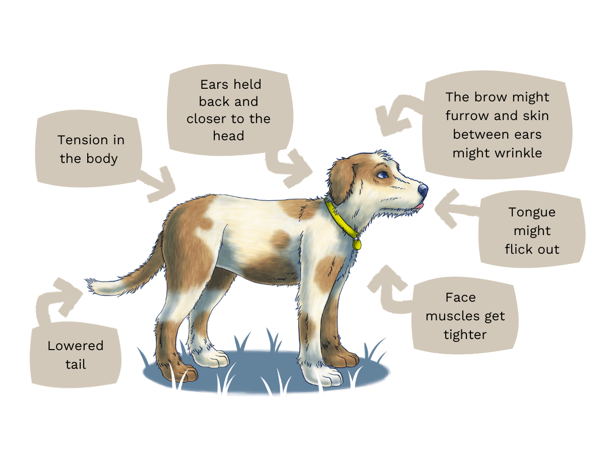 Examples of anxious body language 1