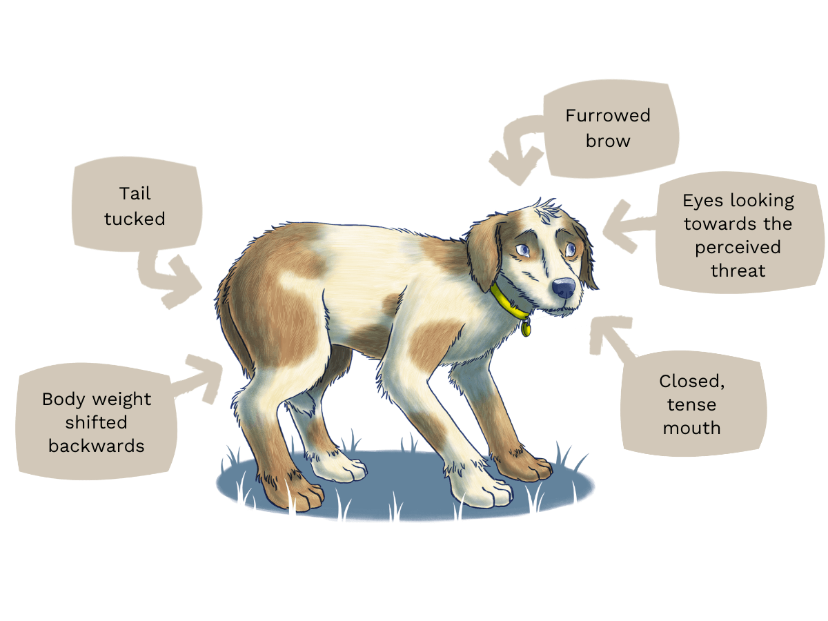 Examples of anxious body language 3