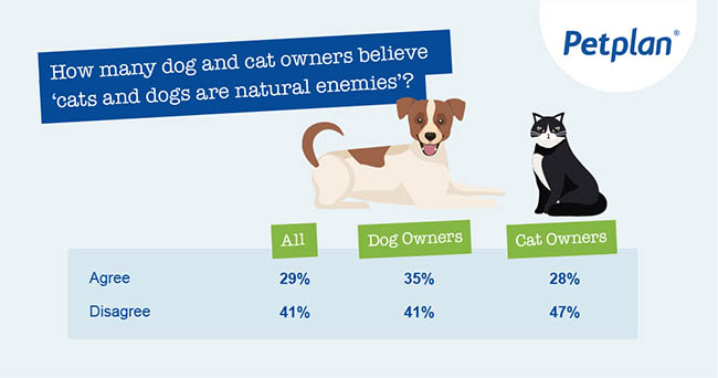 How many people believe dog and cat owners are natural enemies