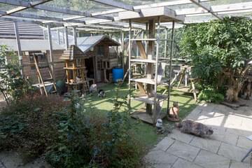 Outdoor cat shop play area