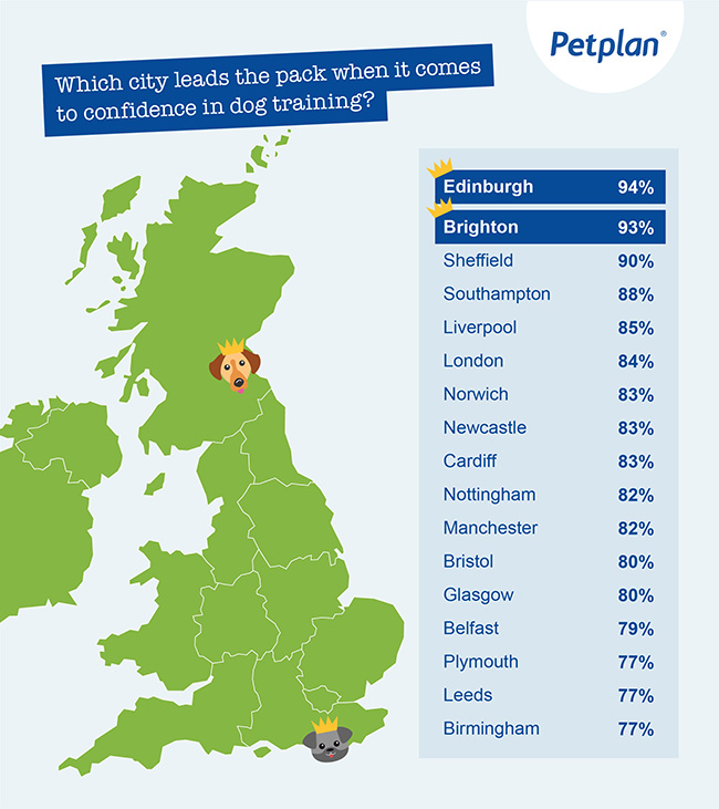 which city leads the pack when it comes to confidence in dog training