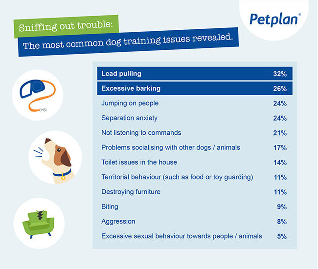 the most common dog training issues revealed