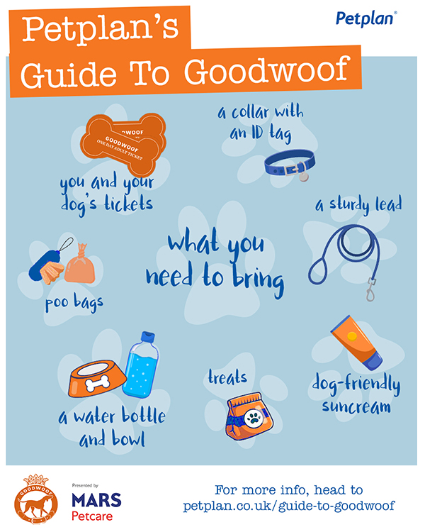 Guide to Goodwoof infographic